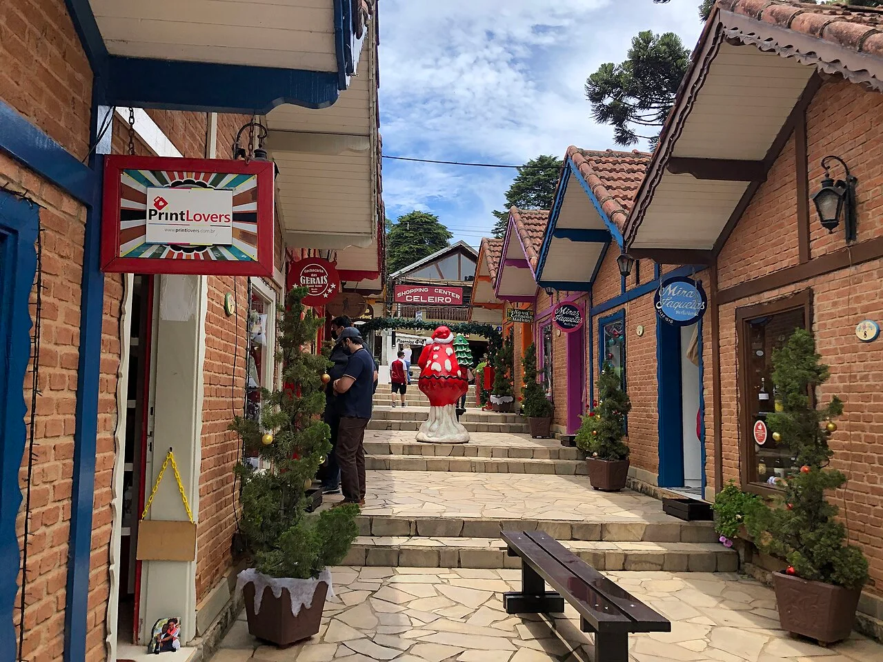 Photo of Monte Verde