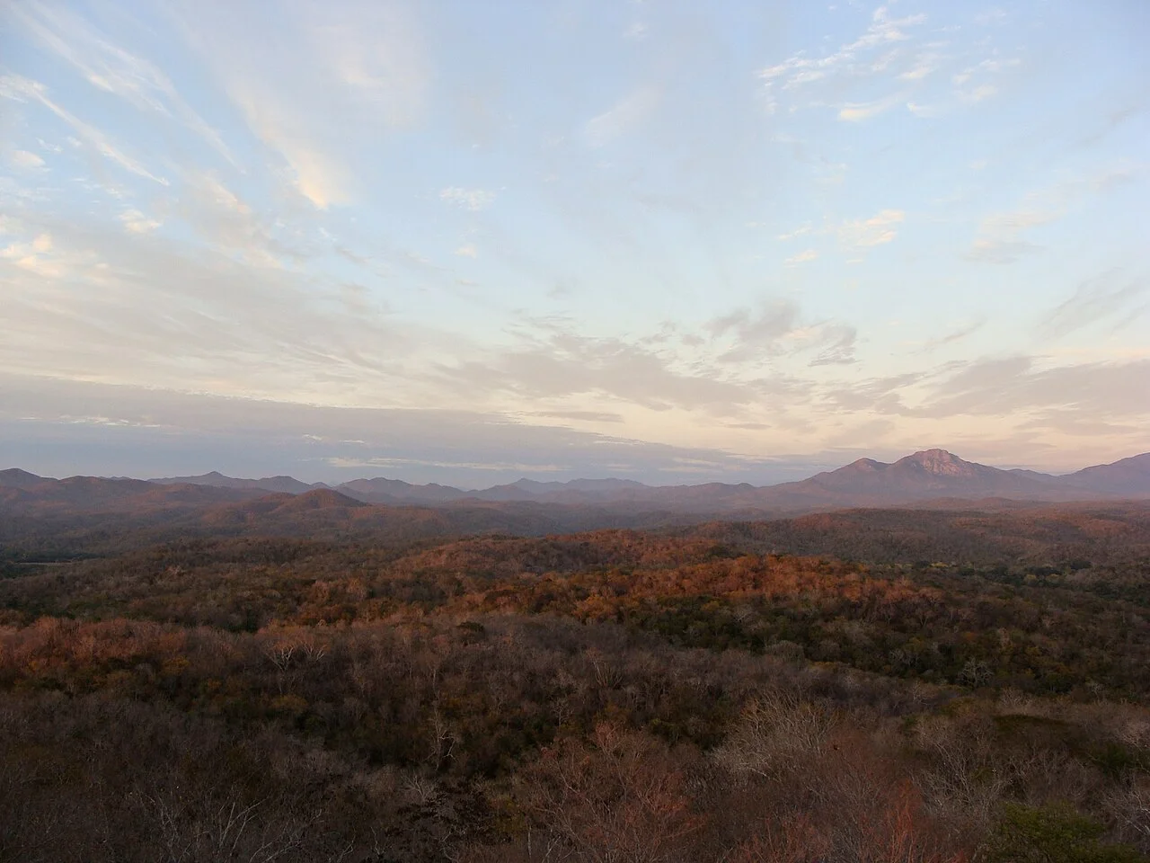 Photo of Montecillos