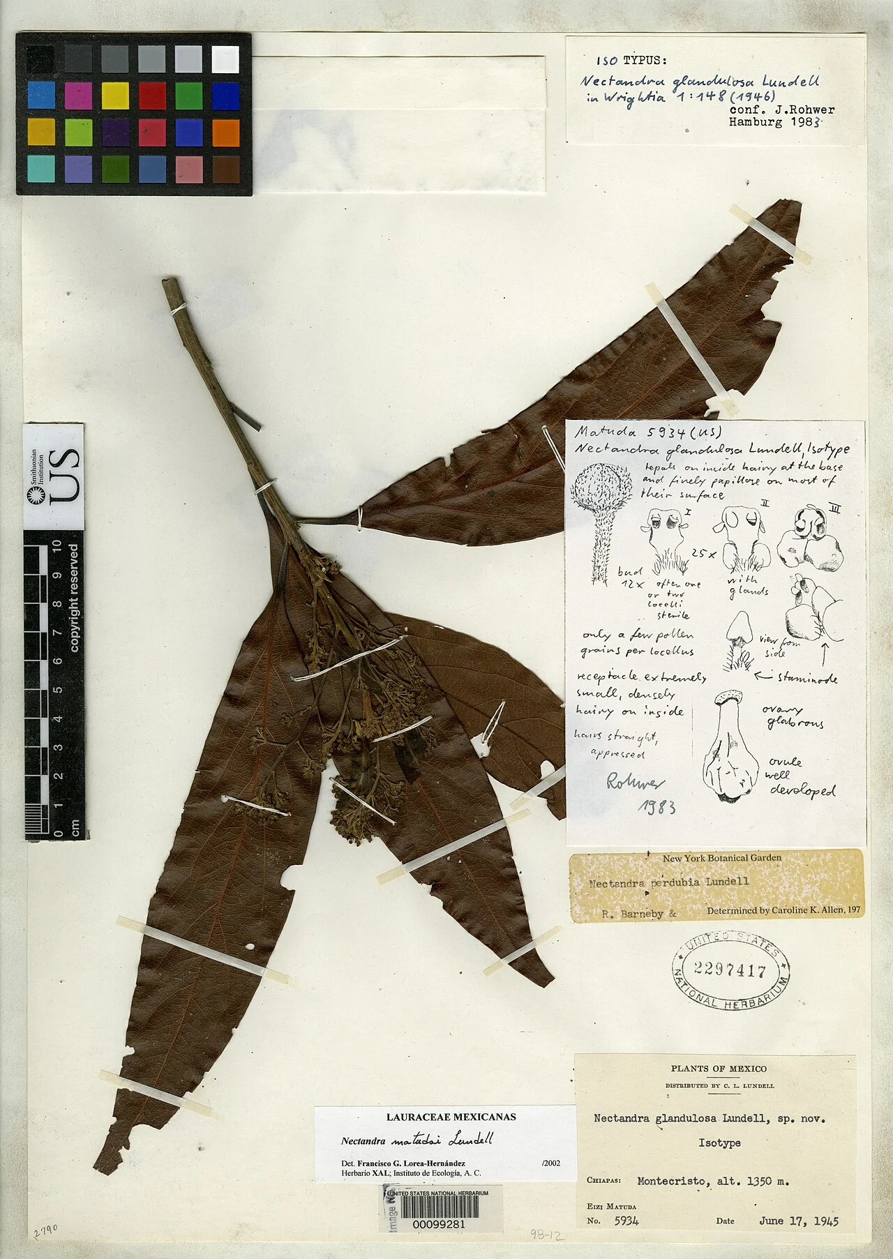 Photo of Montecristo