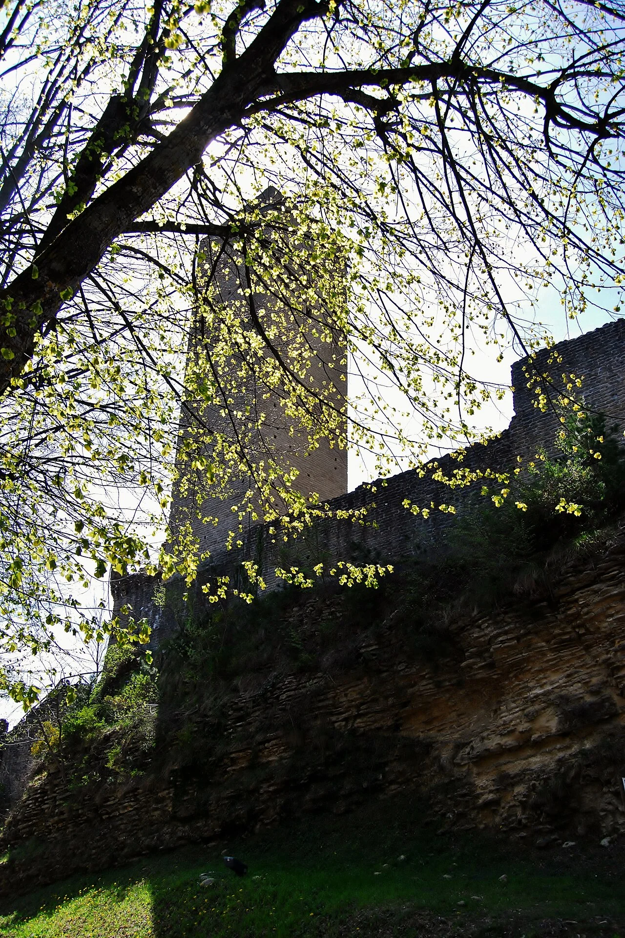 Photo of Montefalcone Appennino