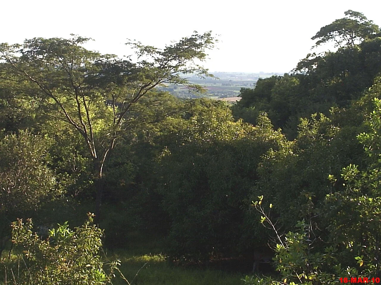 Photo of Montes Altos