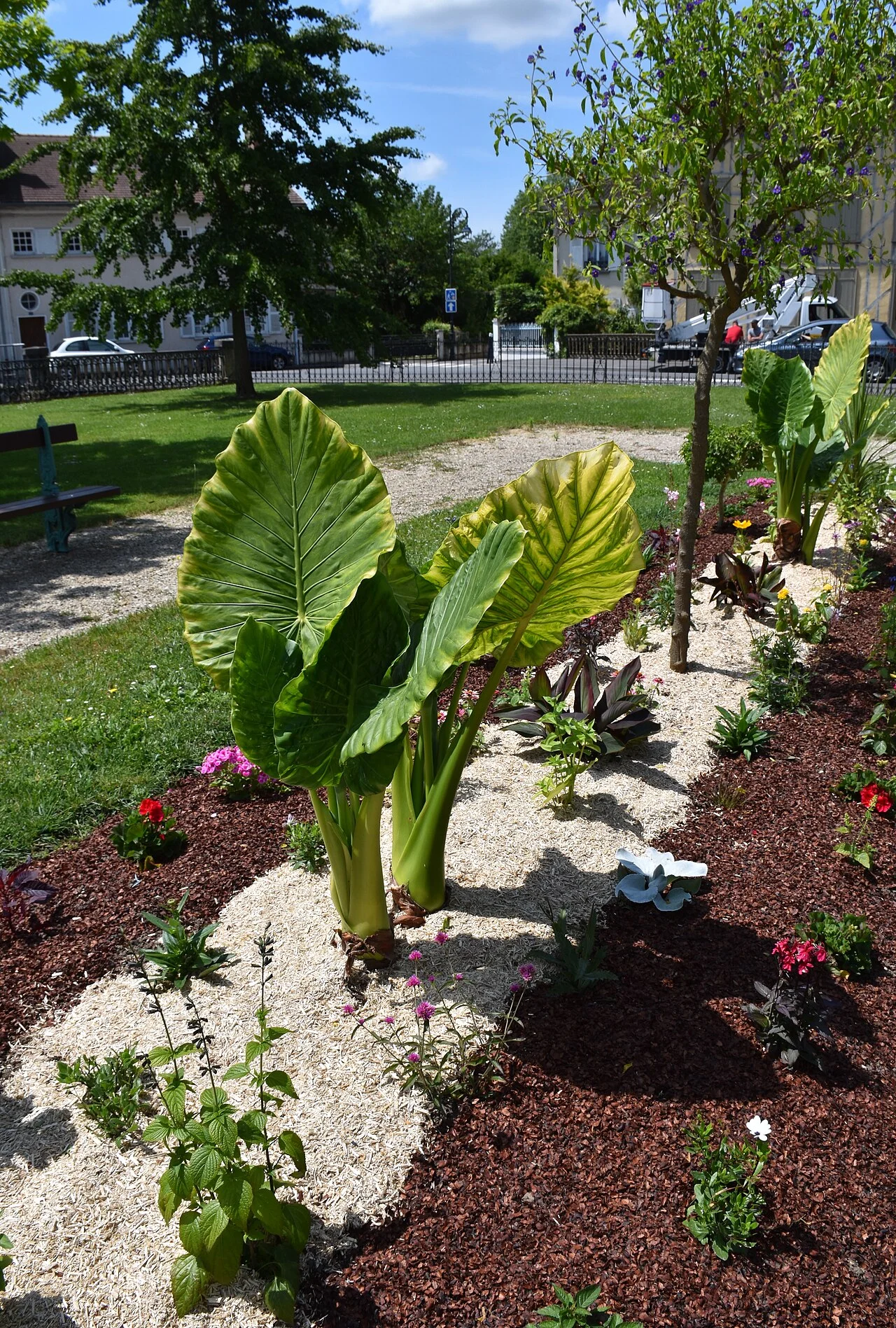 Photo of Montier-en-Der