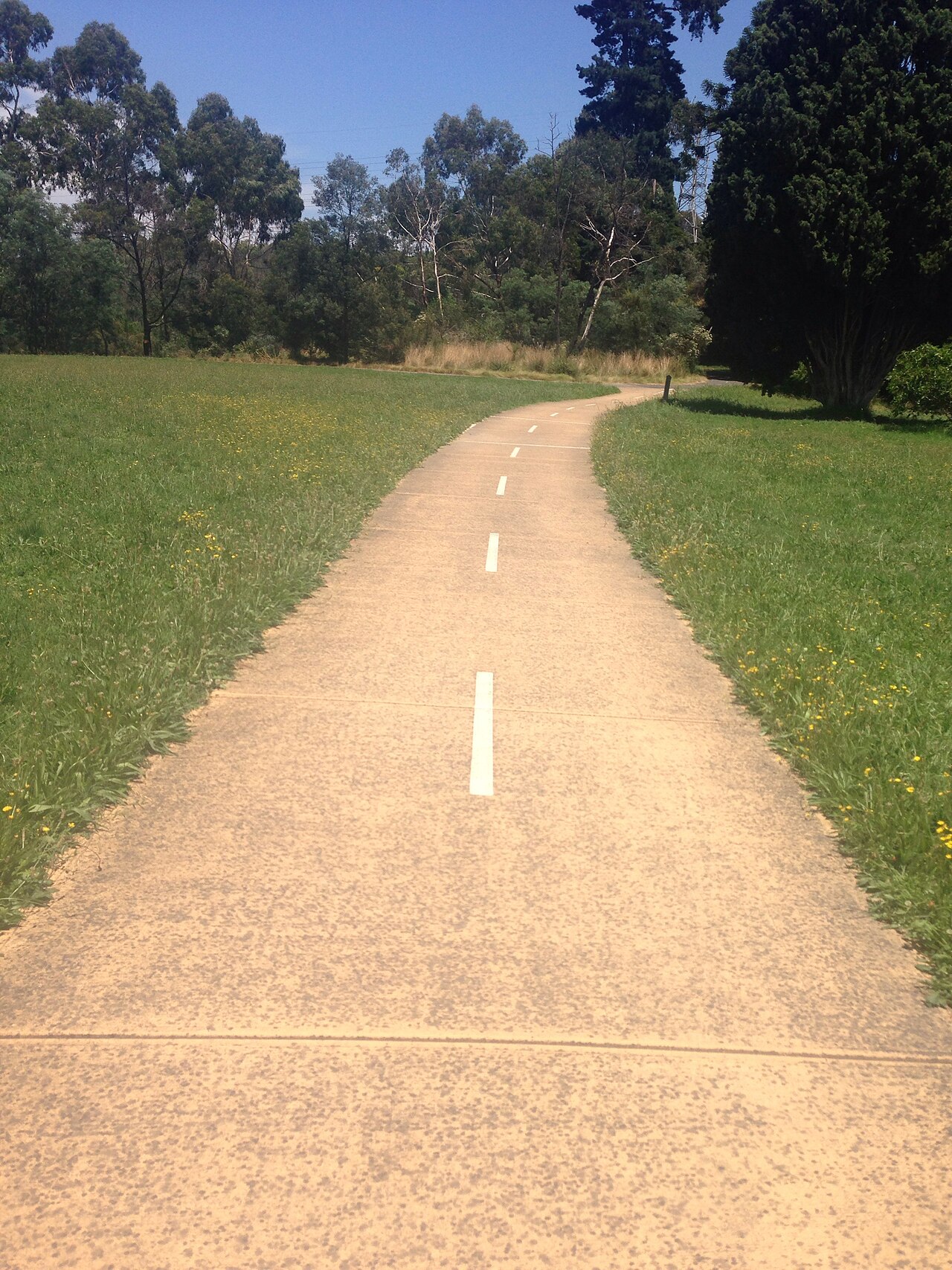 Plenty River Trail, Montmorency