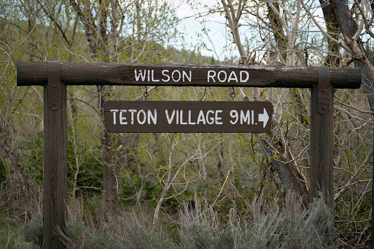 Photo of Moose Wilson Road