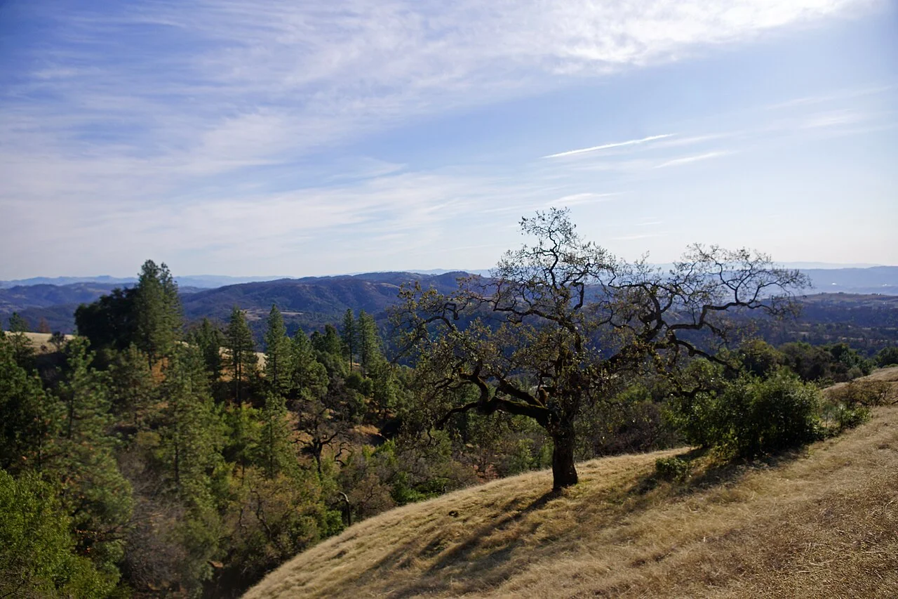 Photo of Morgan Hill