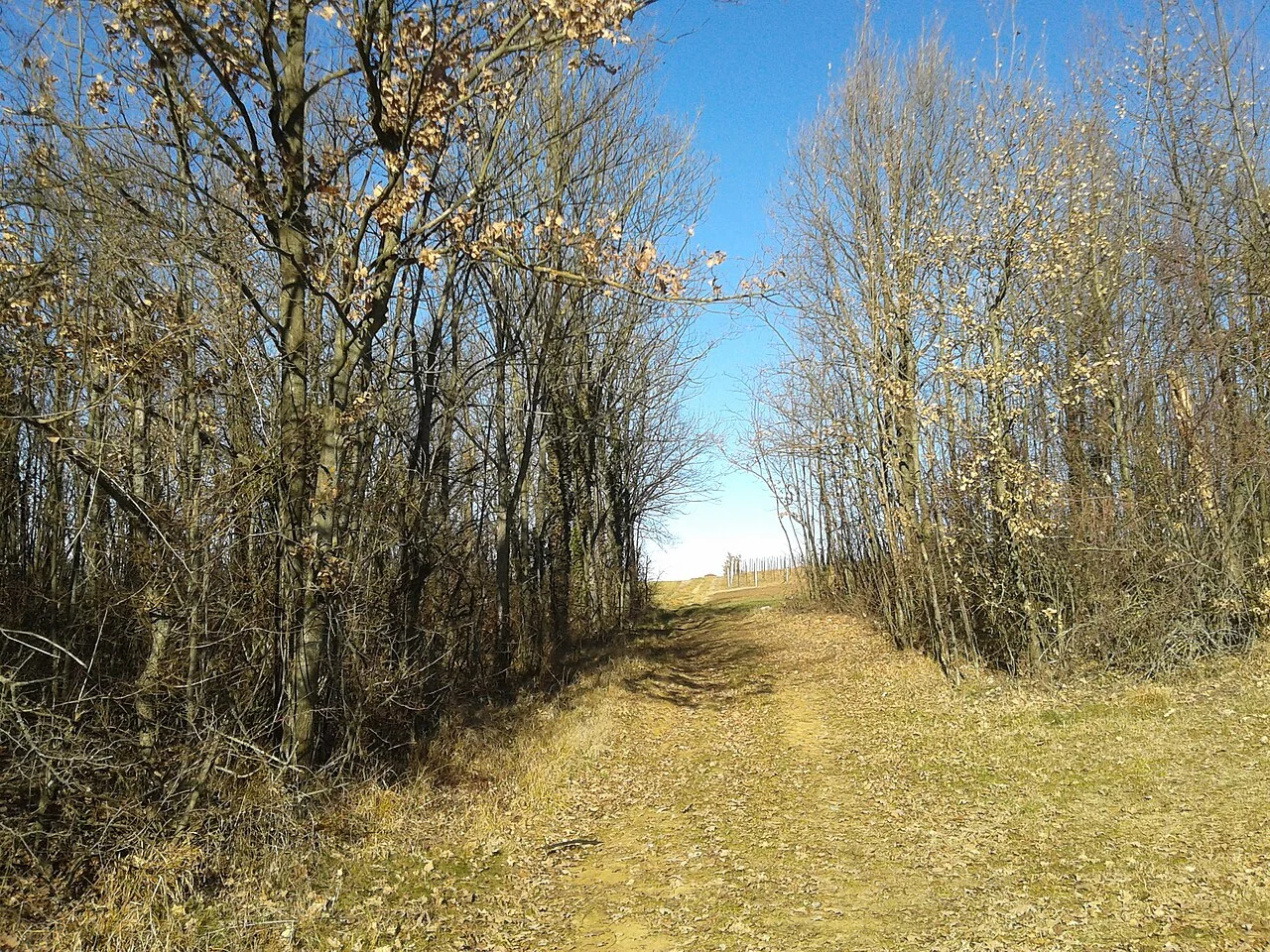 Photo of Moriondo Torinese