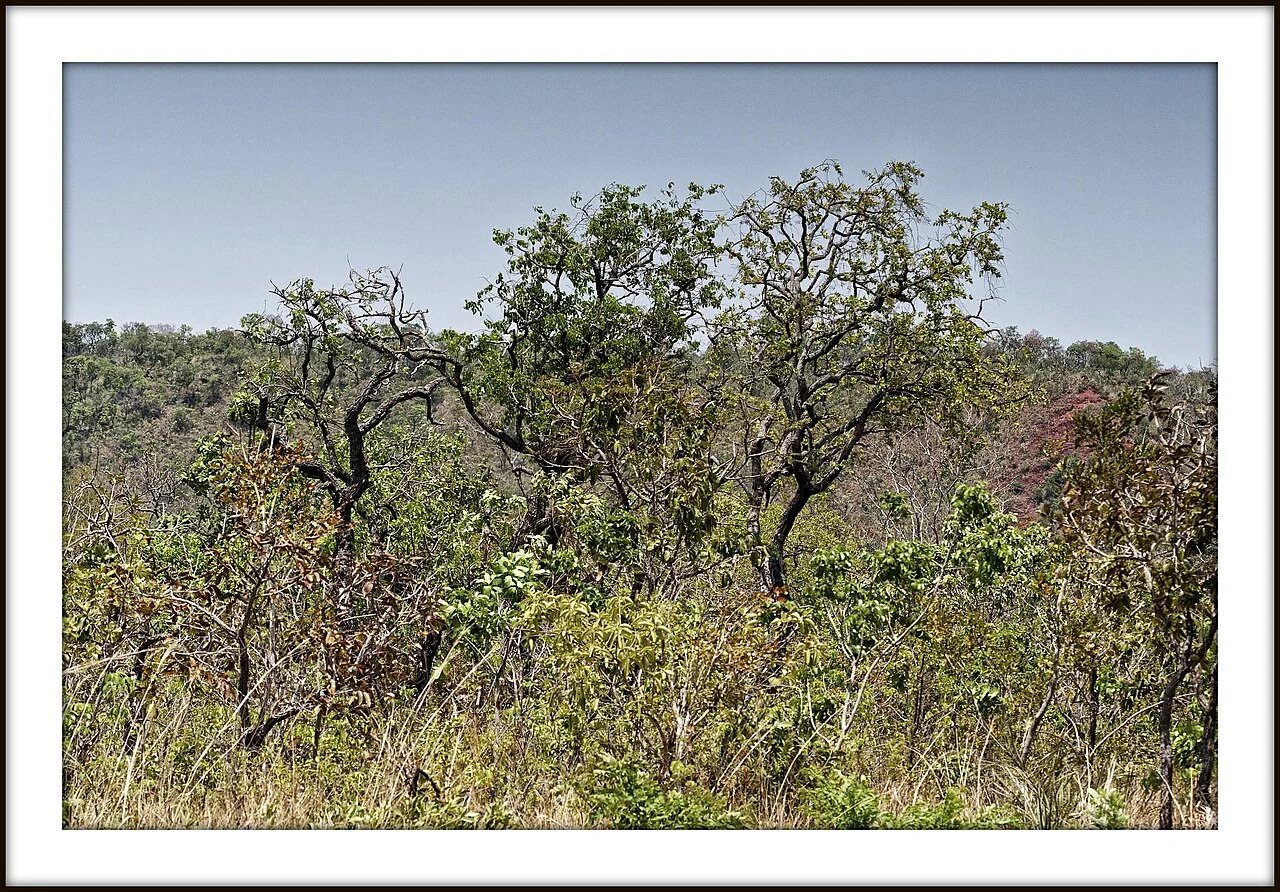 Photo of Morro Cabeça no Tempo