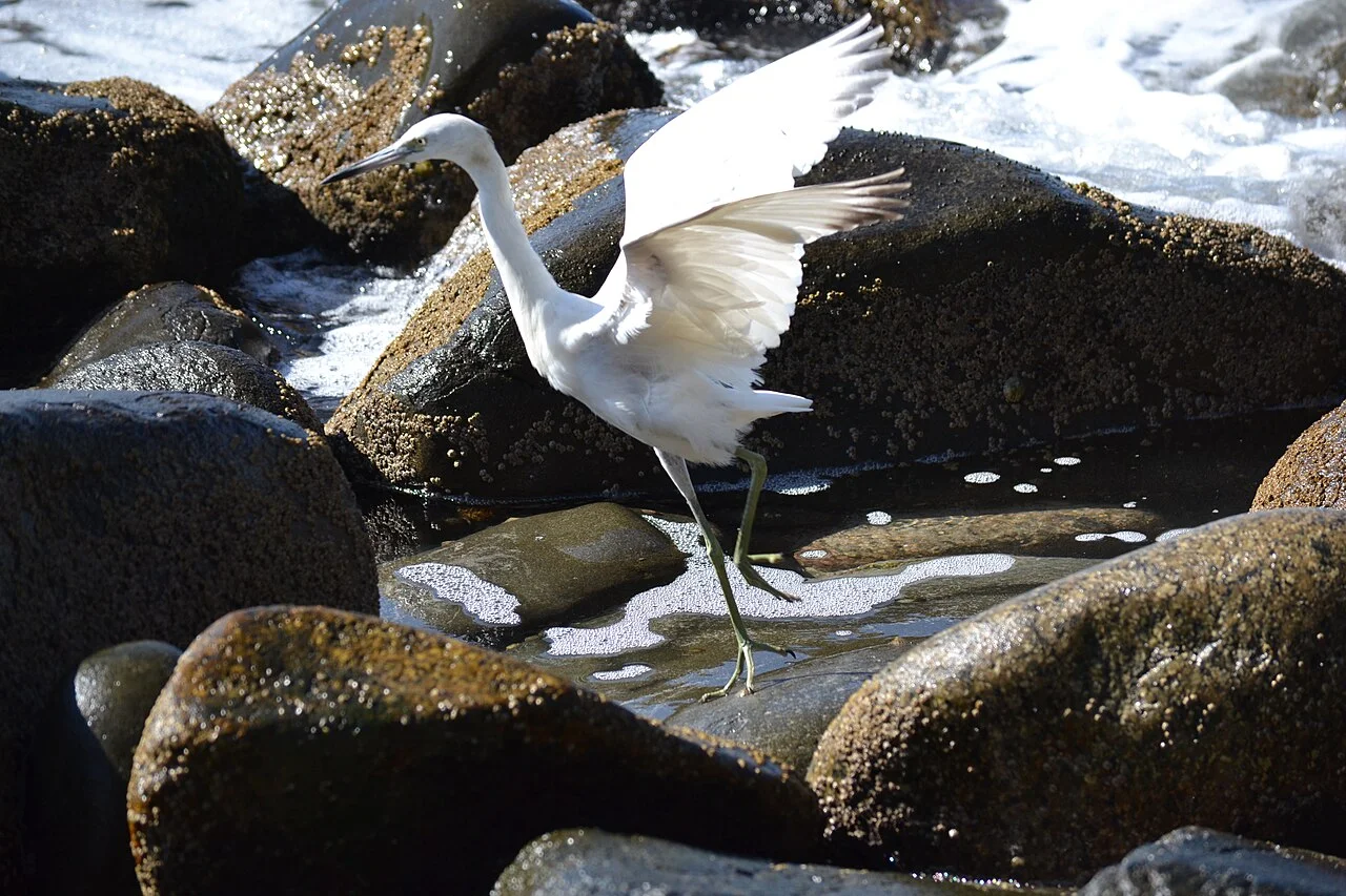 Photo of Morro da Garça