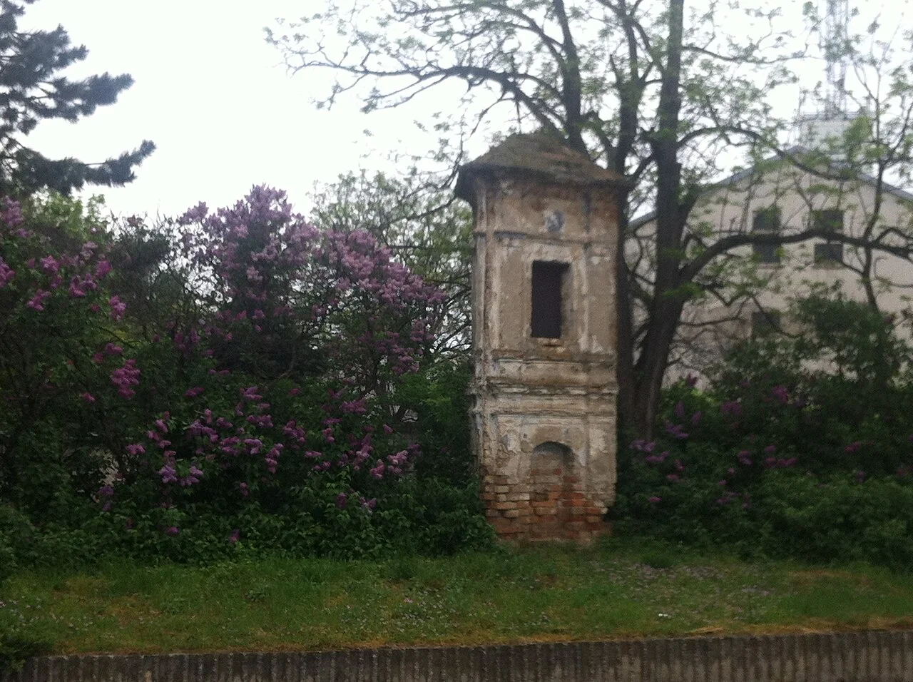 Photo of Most pri Bratislave