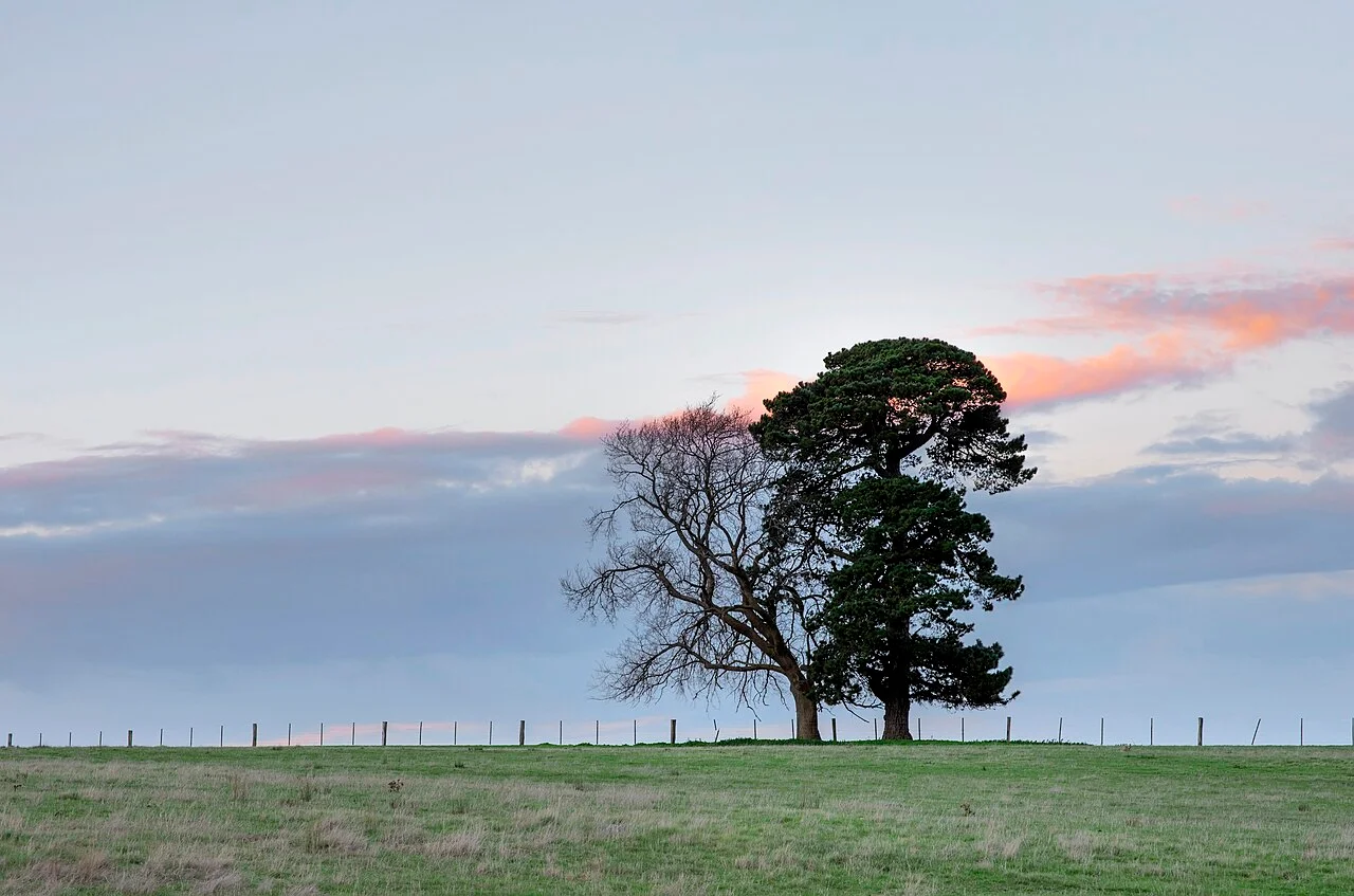 Photo of Mount Duneed