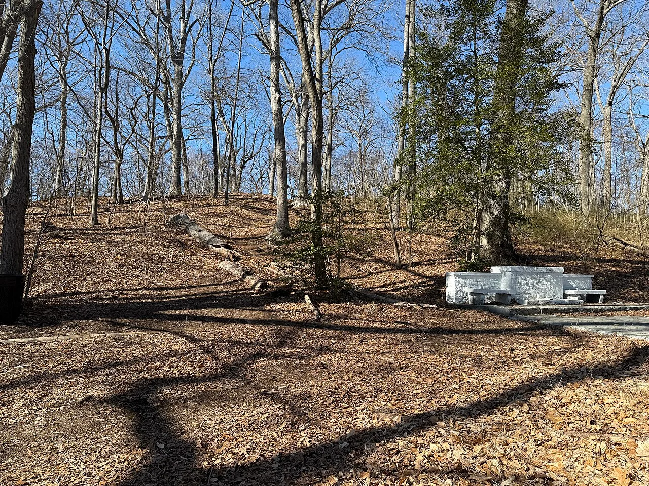 Photo of Mount Holly