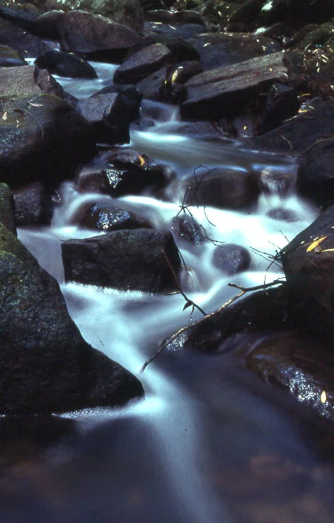 Photo of Mount Kuring-Gai