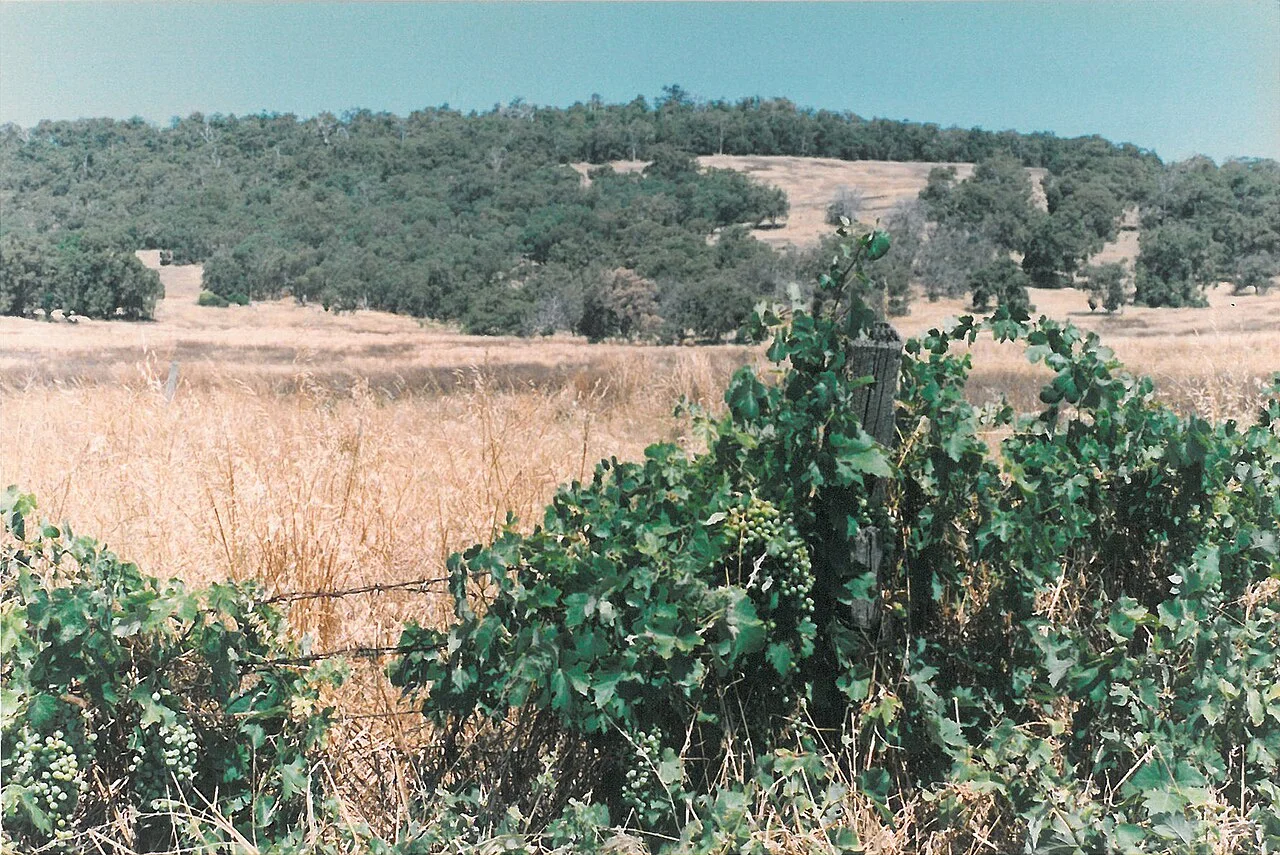Photo of Mount Richon