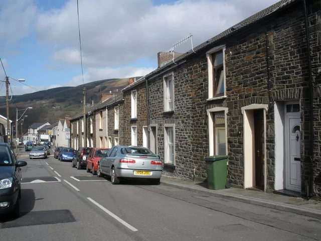 Photo of Mountain Ash