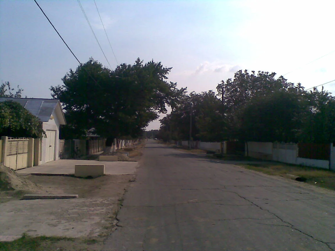 Photo of Movileni