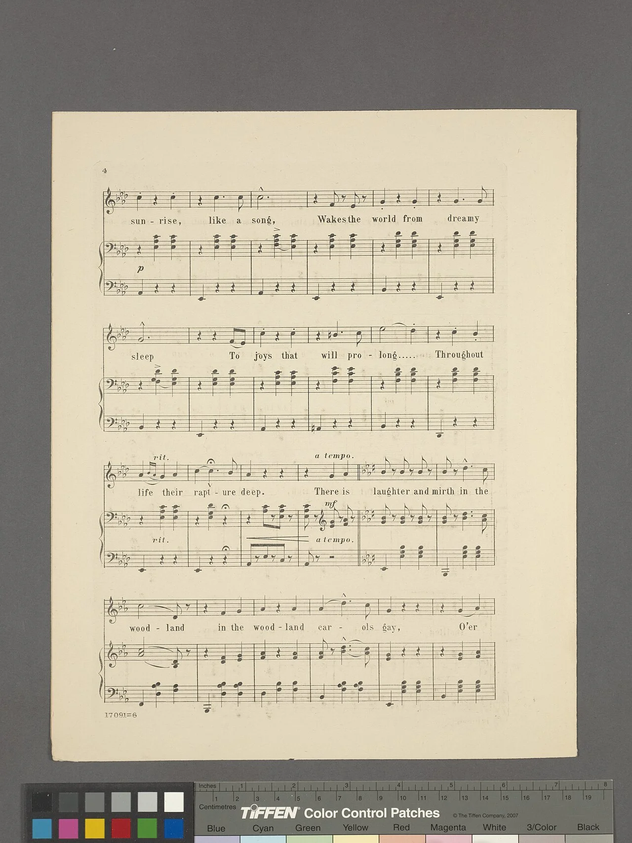 Photo of Mowbray Mountain