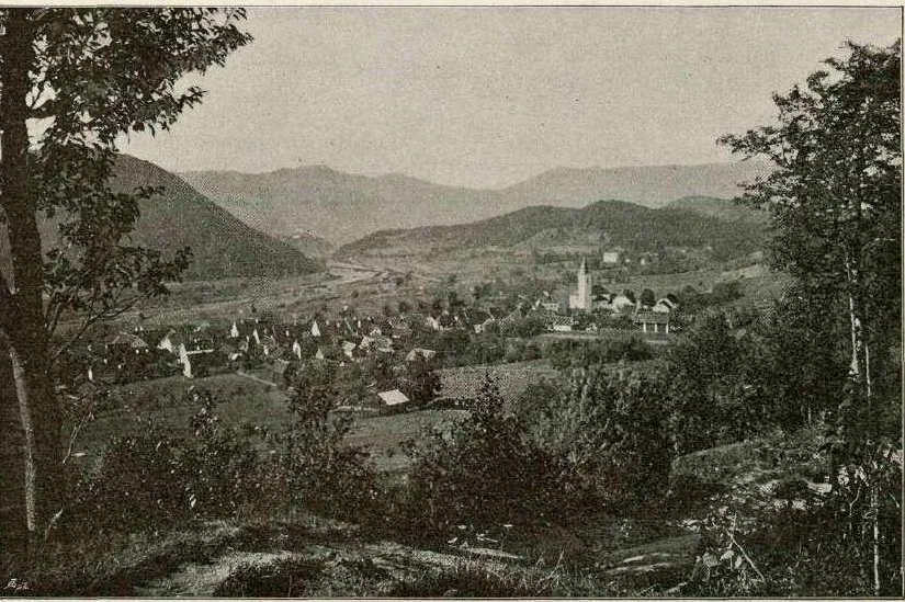 Photo of Mozirje