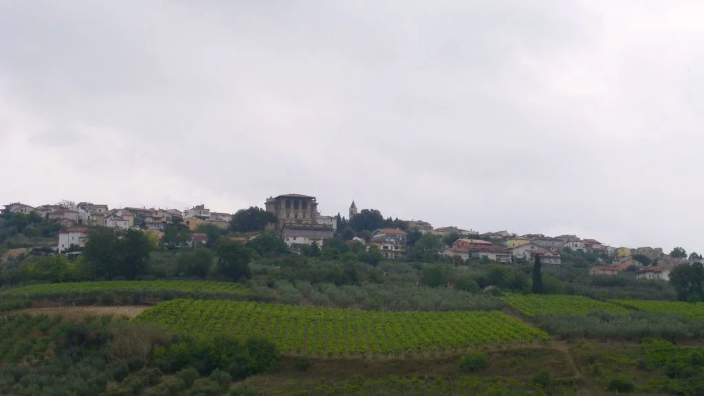 Photo of Mozzagrogna