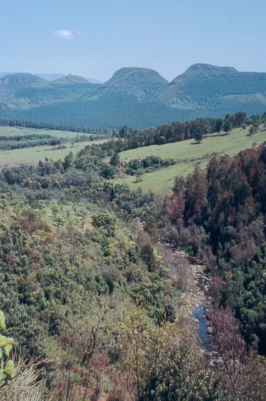 Photo of Mpumalanga