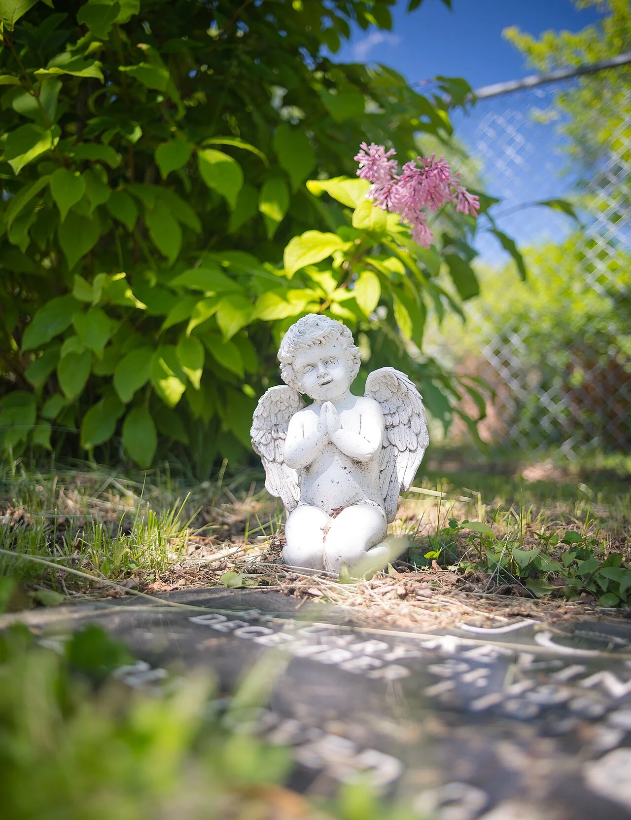 Photo of Mt Pleasant