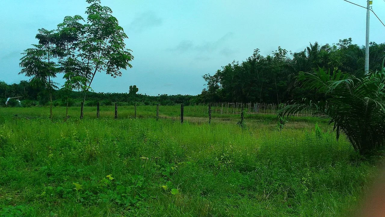 Photo of Muara Sabak