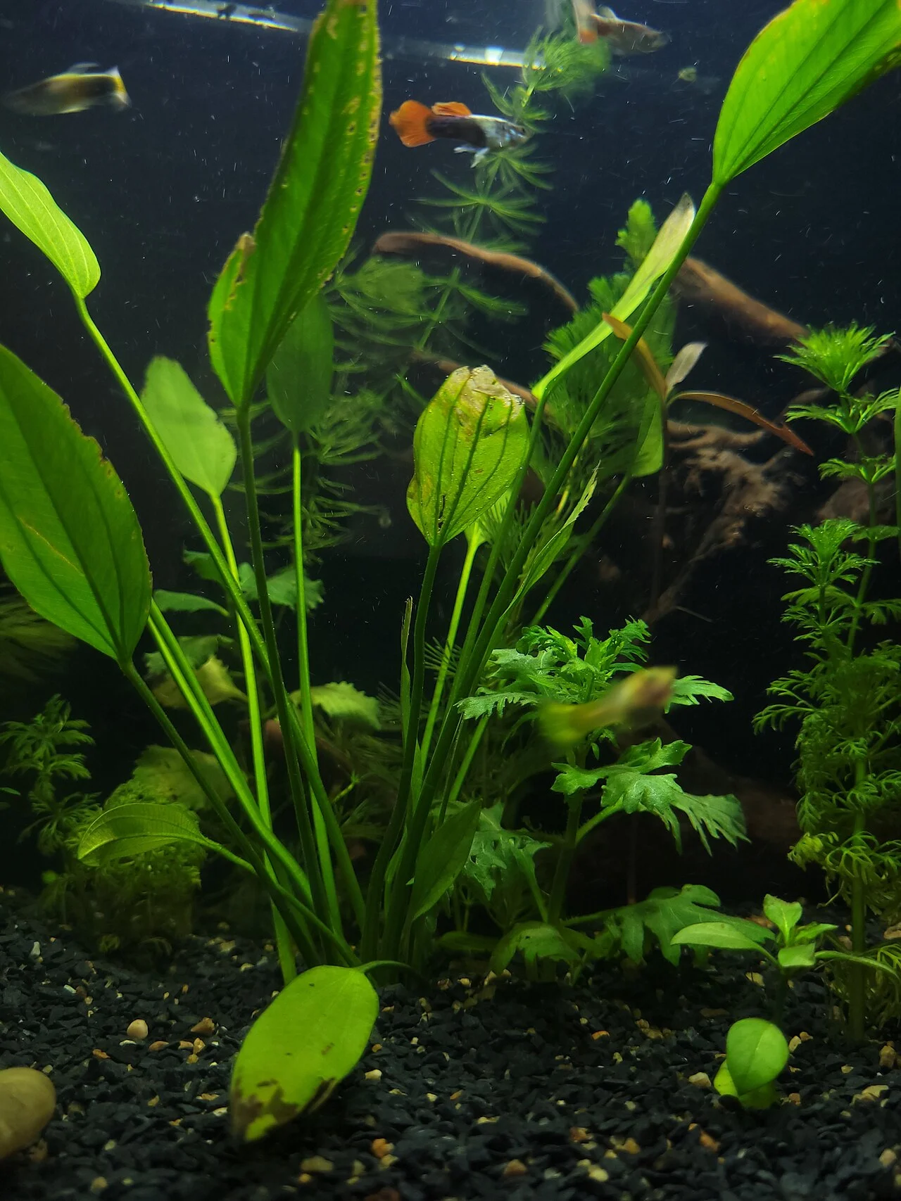 Photo of Mugalivakkam