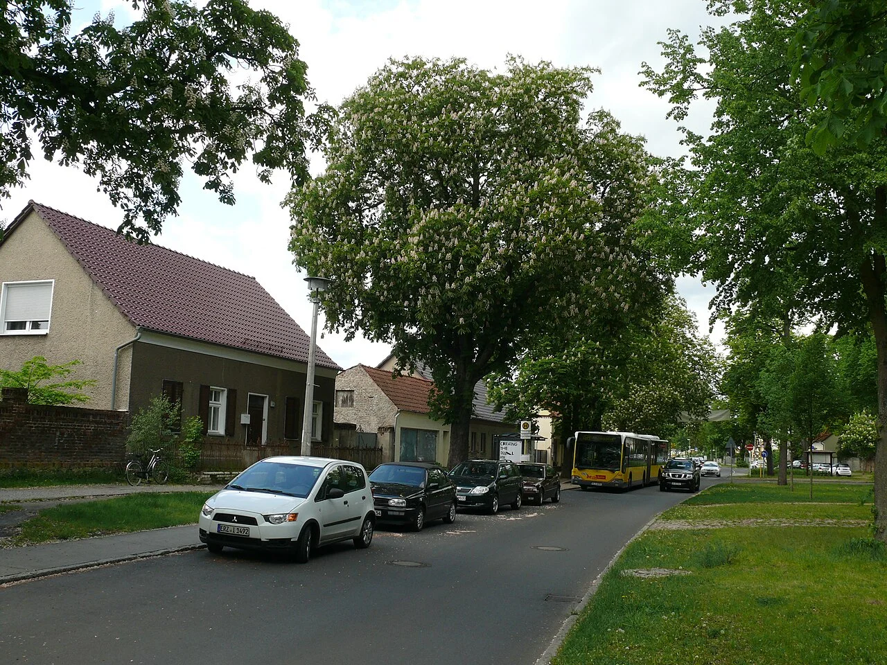 Photo of Müggelheim