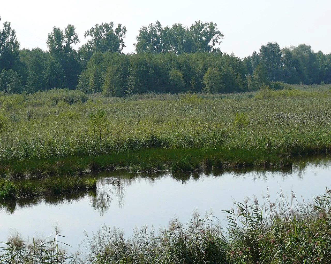 Photo of Muggensturm