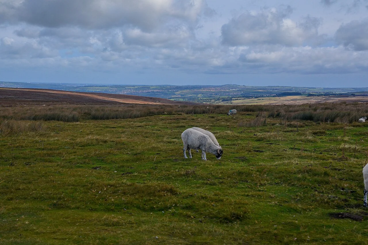 Photo of Muggleswick