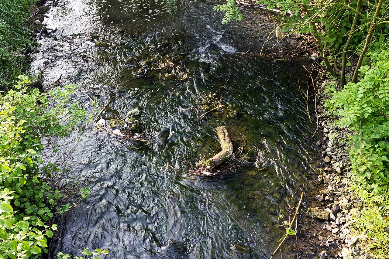 Photo of Mühlenbach