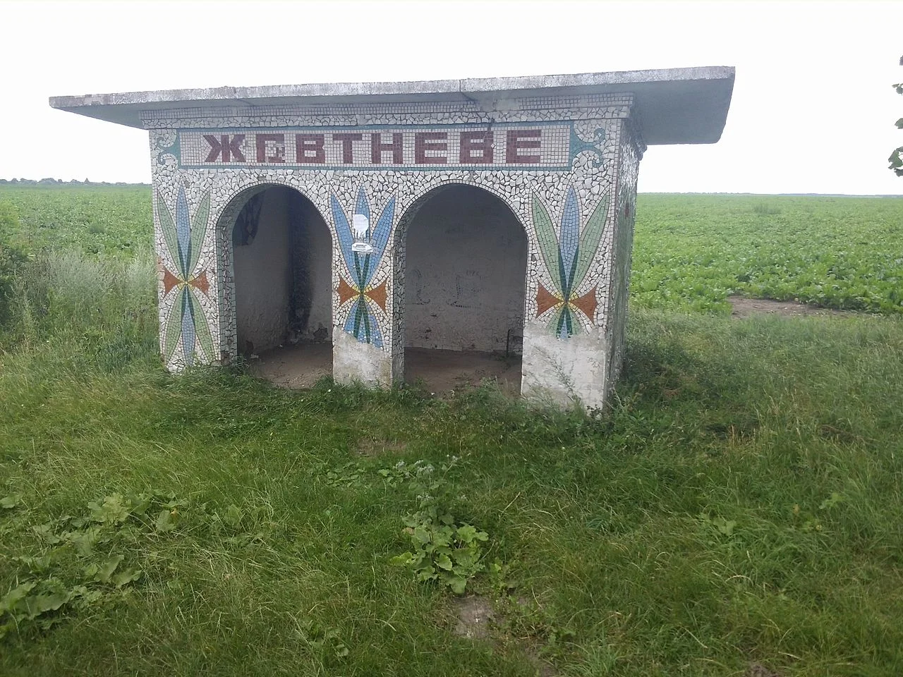 Photo of Muksha Kytaihorodska