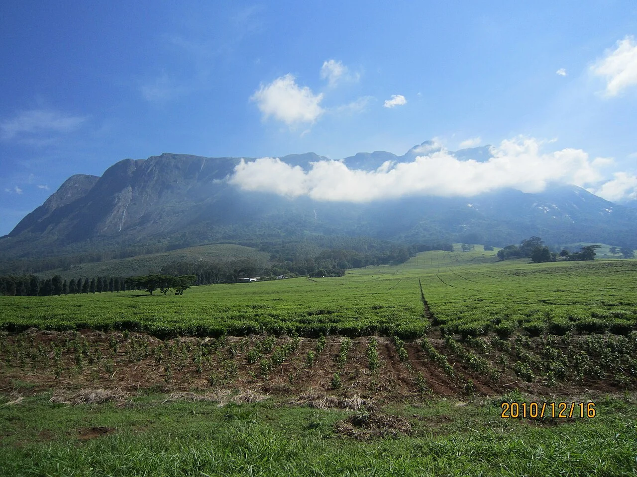 Photo of Mulanje