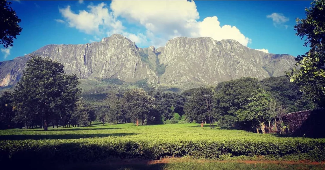 Photo of Mulanje