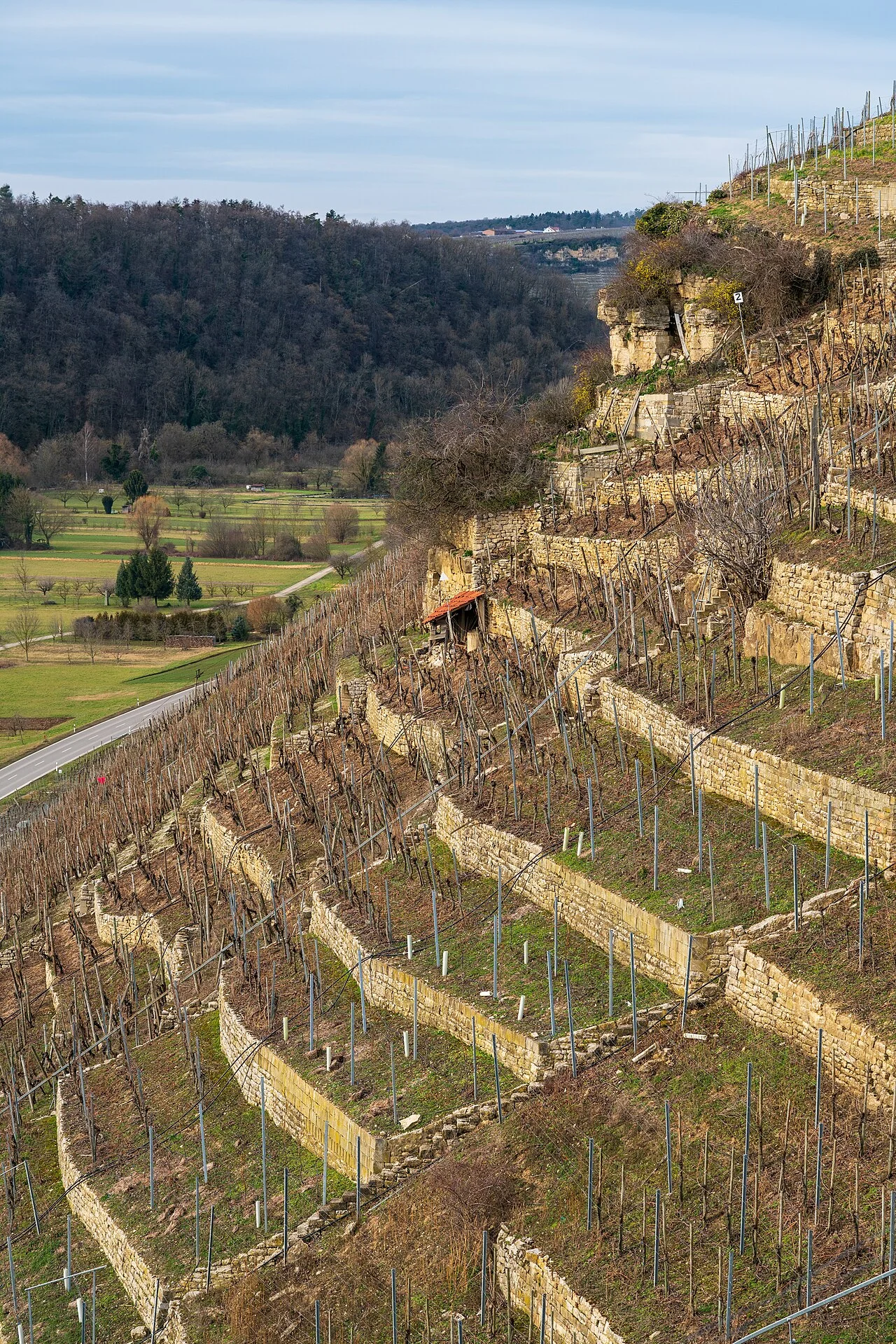 Photo of Mundelsheim