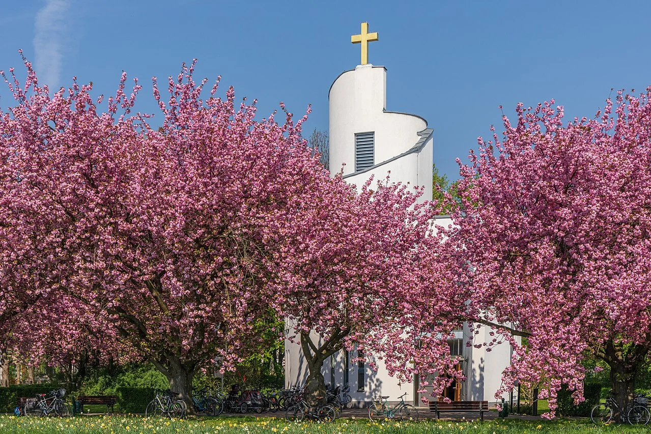 Photo of Münsterhausen