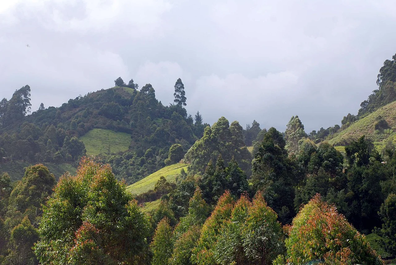 Photo of Murang’a