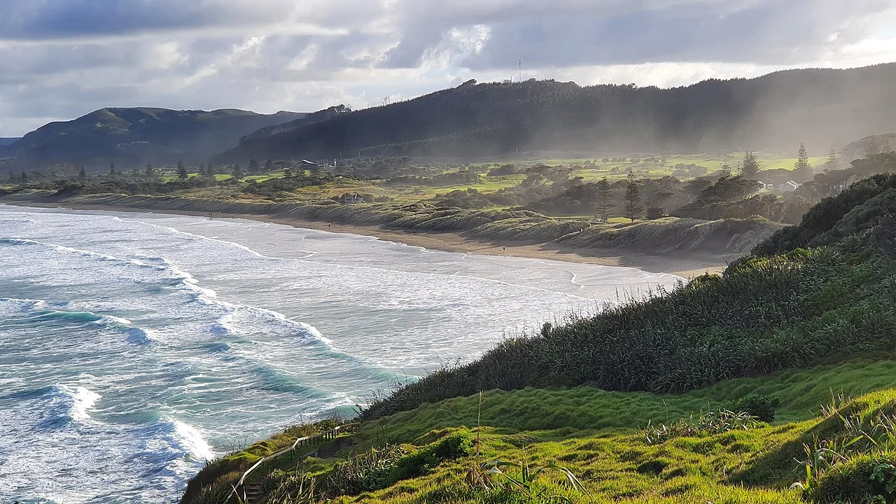 Photo of Muriwai Beach