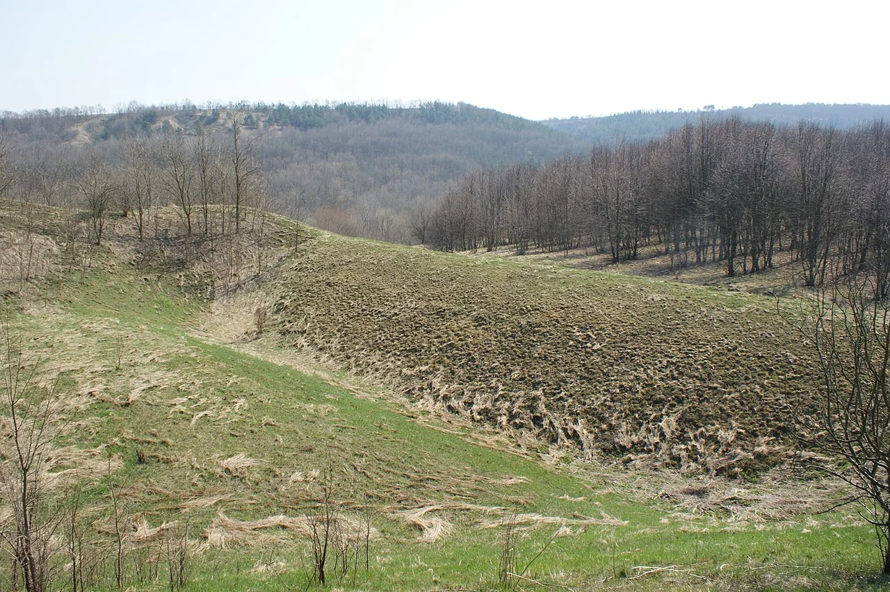 Photo of Murovani Kurylivtsi