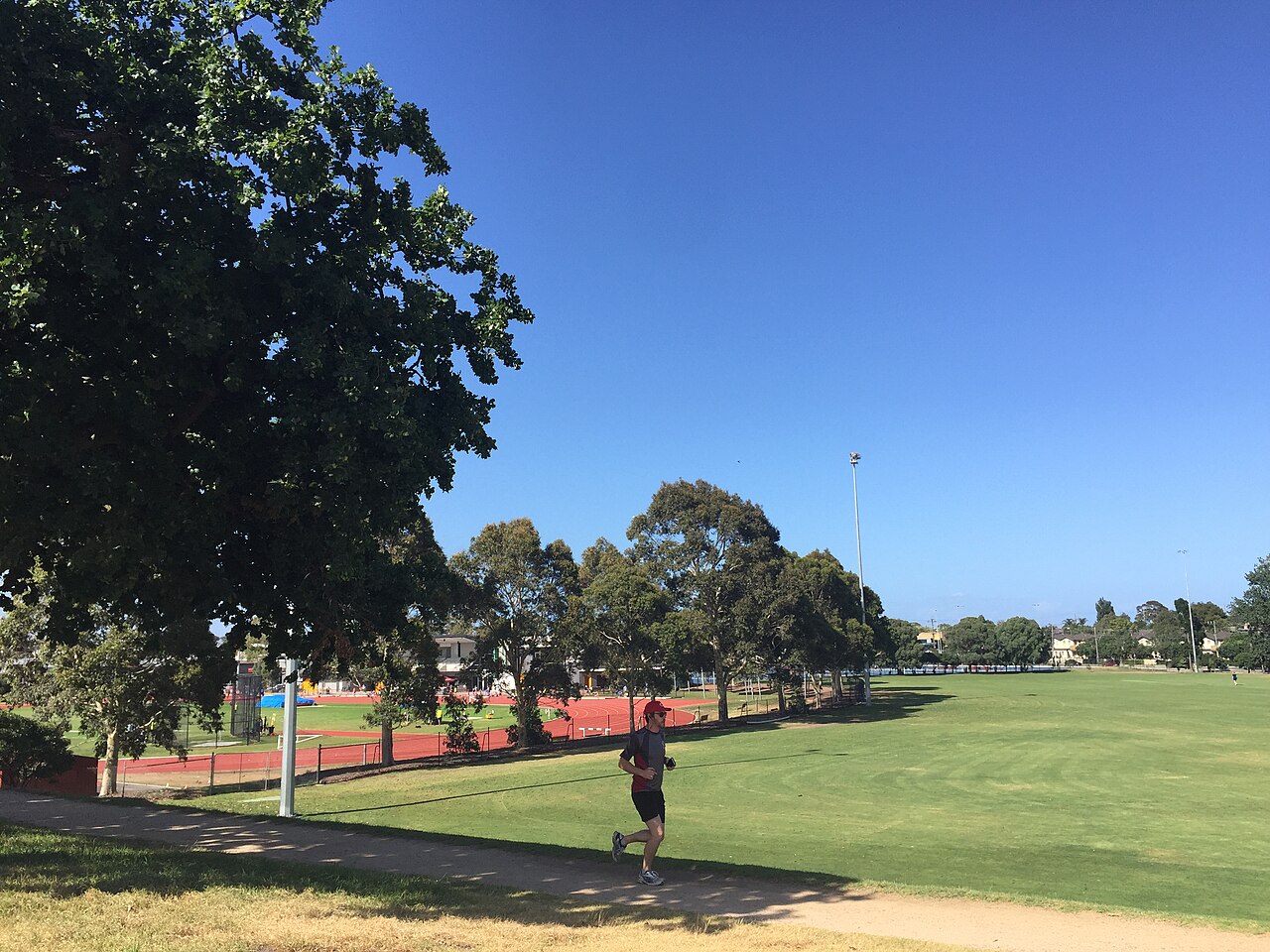 Duncan McKinnon Reserve, Murrumbeena,  athletics club, running track, oval and netball courts in background.