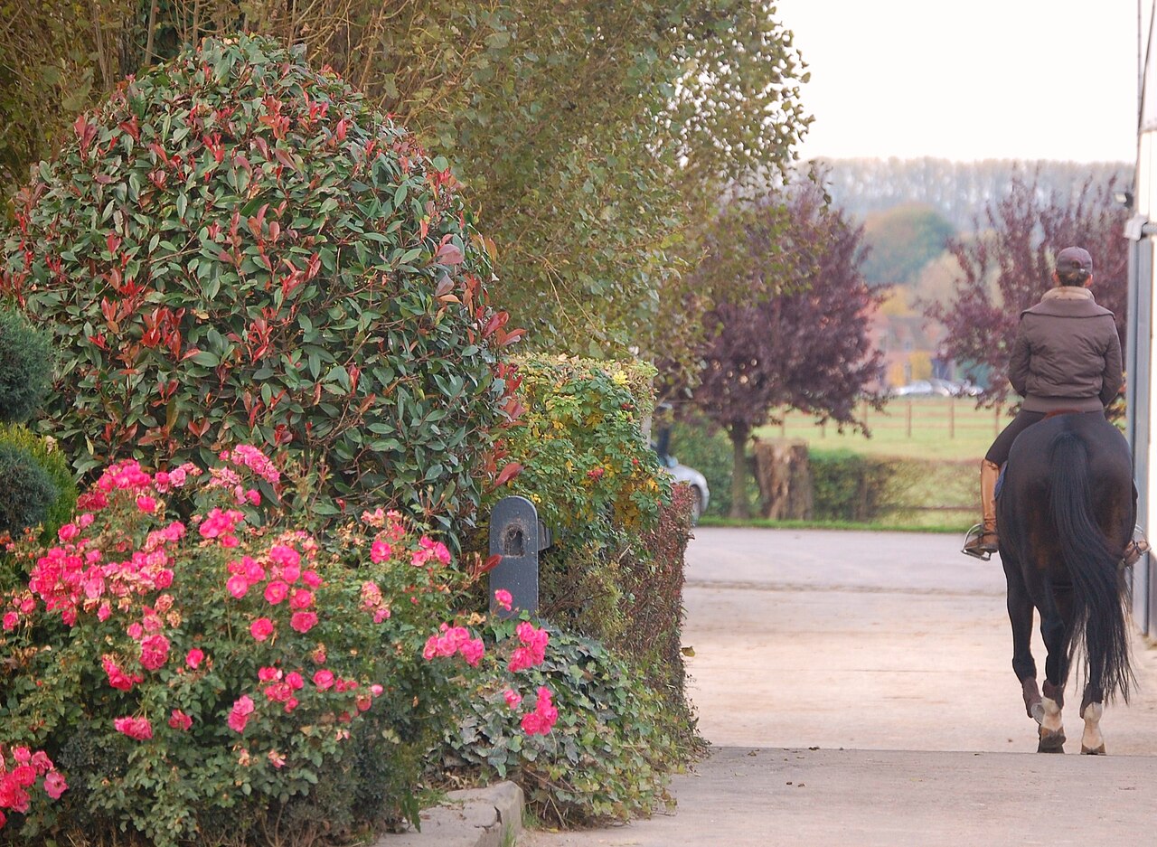 Couleurs d'Automne dans les allées des écuries...