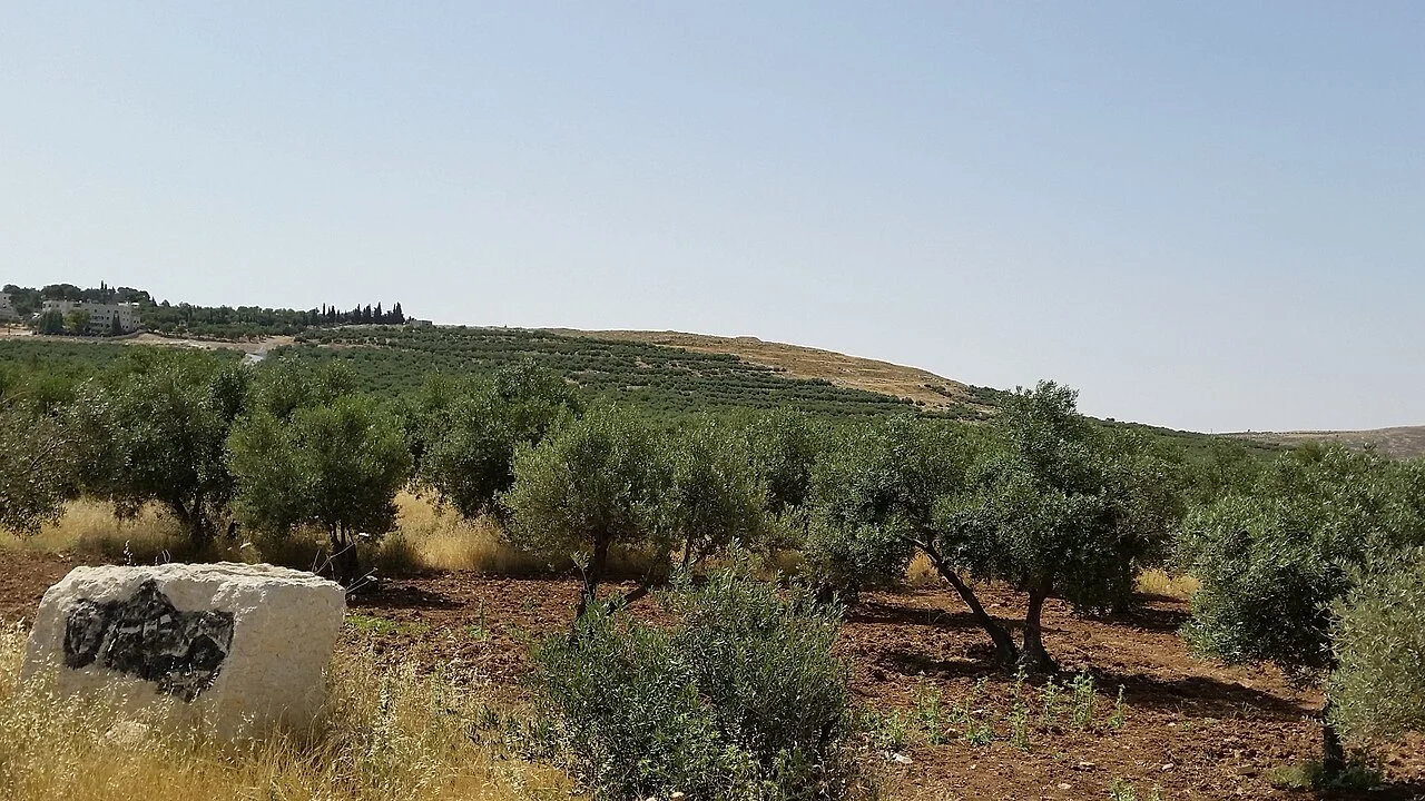 Photo of Naẖal Teqoa‘