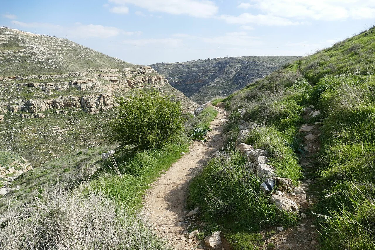 Photo of Naẖal Teqoa‘