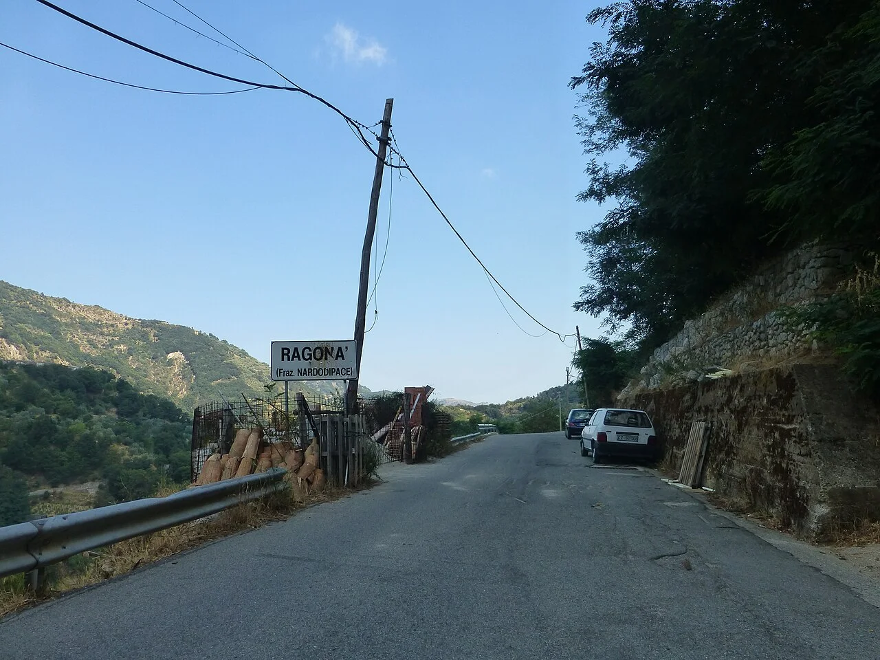 Photo of Nardodipace