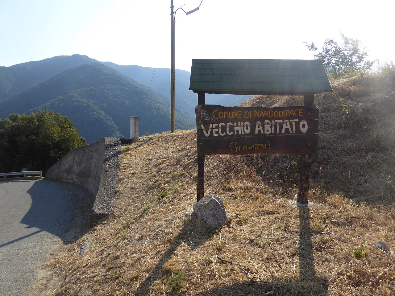 Photo of Nardodipace