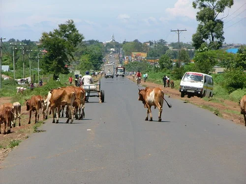 Photo of Narok