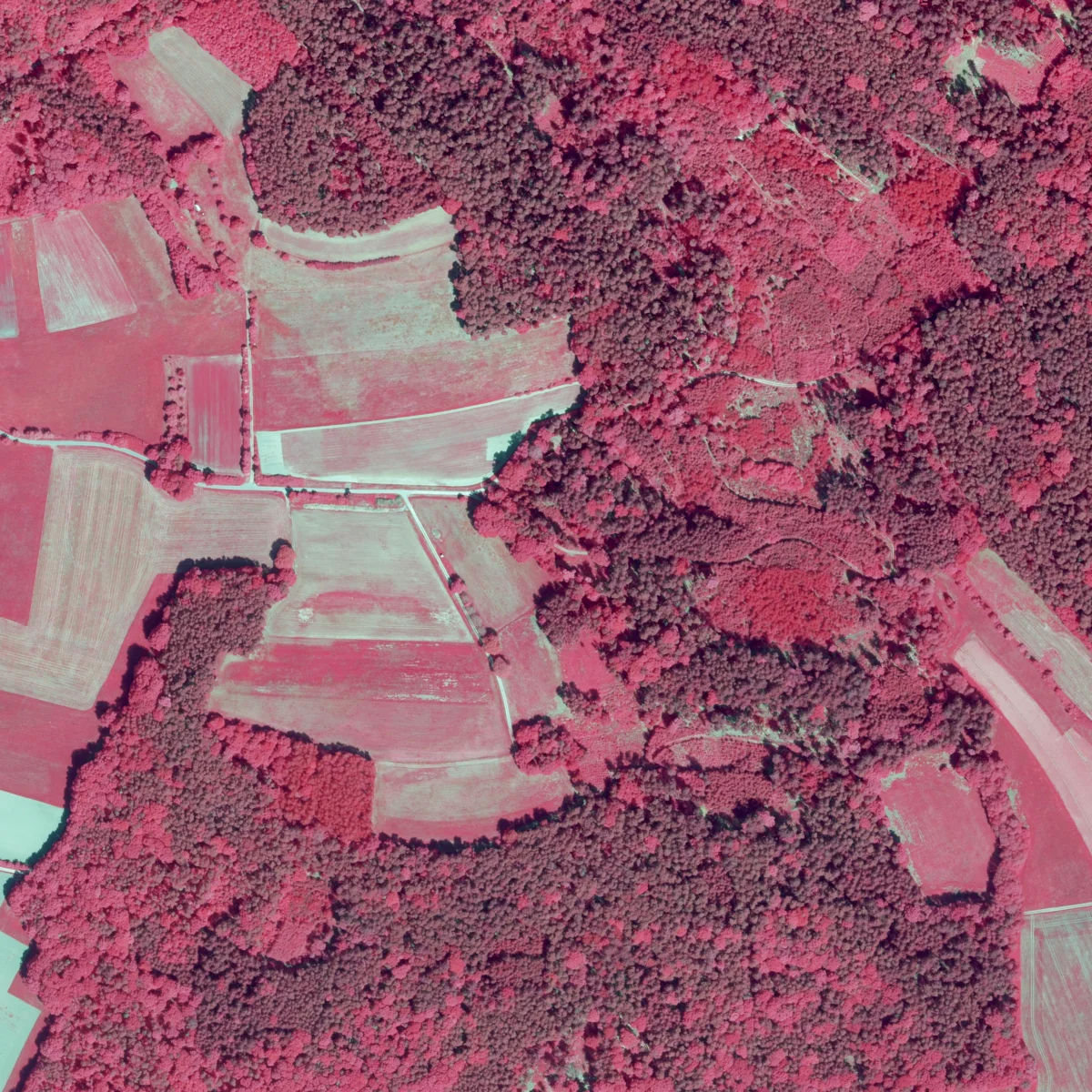 Photo of Narre Warren North