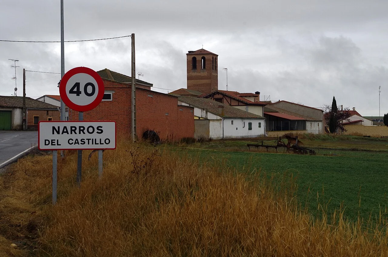 Photo of Narros del Castillo