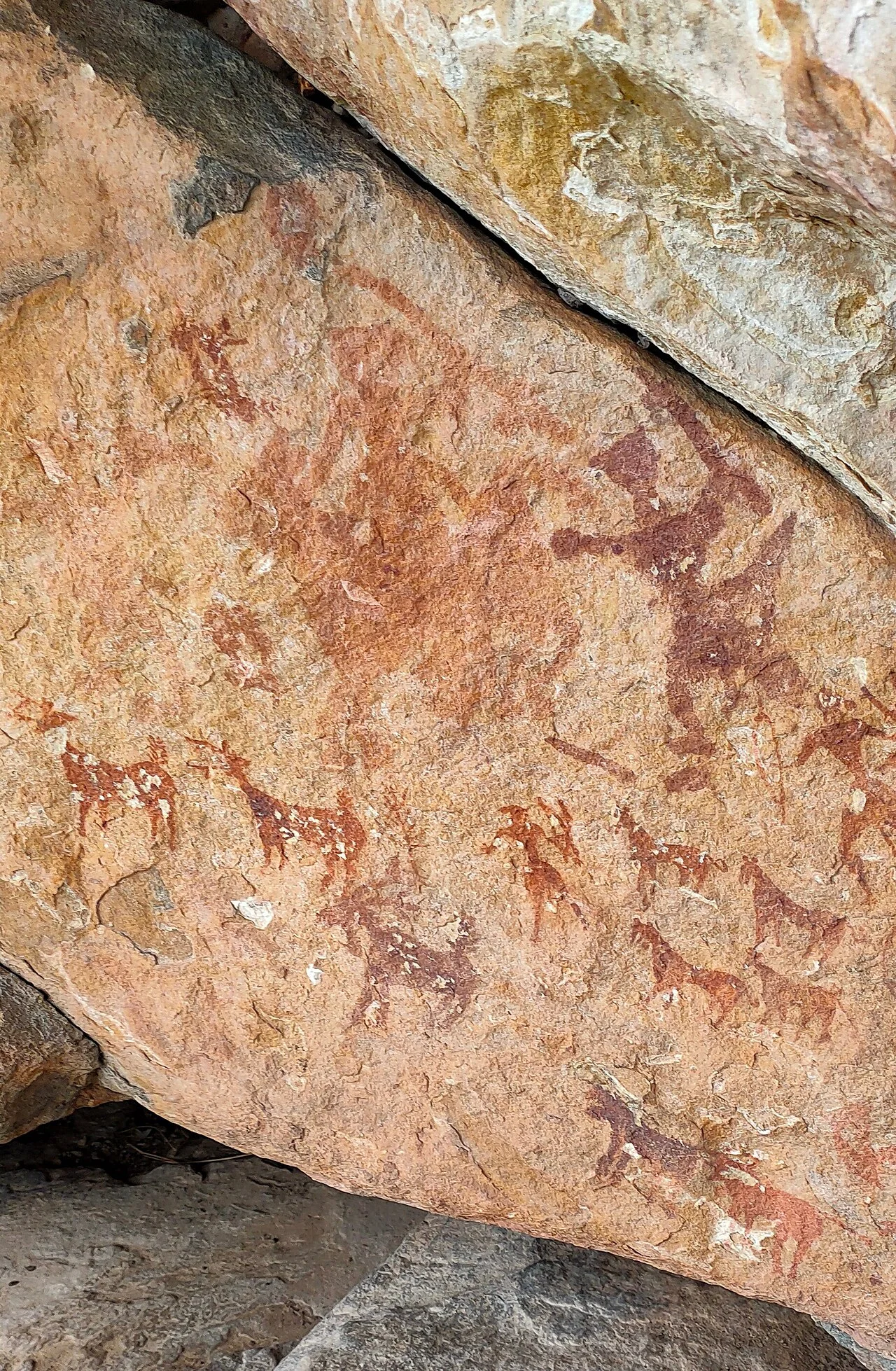 Photo of Narsimhapur