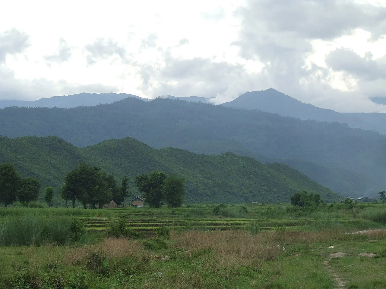 Photo of Nat Sin Kone