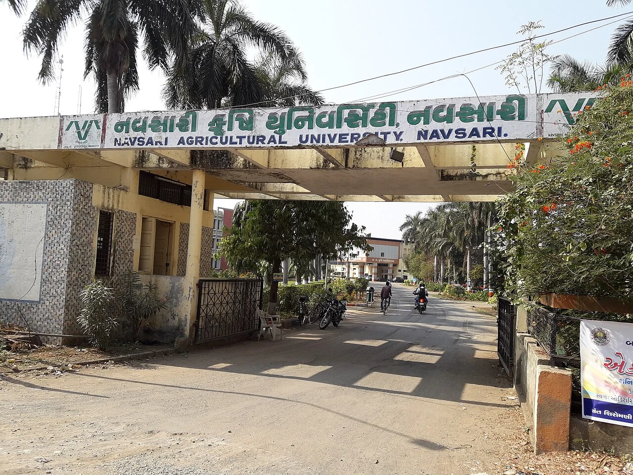 Photo of Navsari